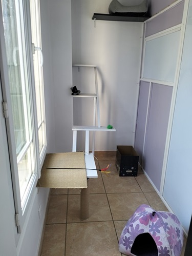Image espace individuel chat