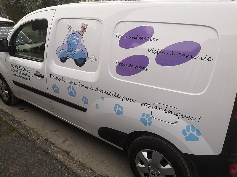 Image taxi animalier